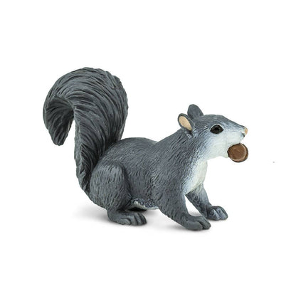 Gray Squirrel - 296129