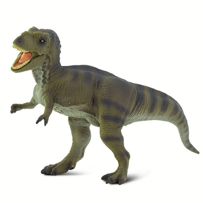 Tyrannosaurus Rex - 100423