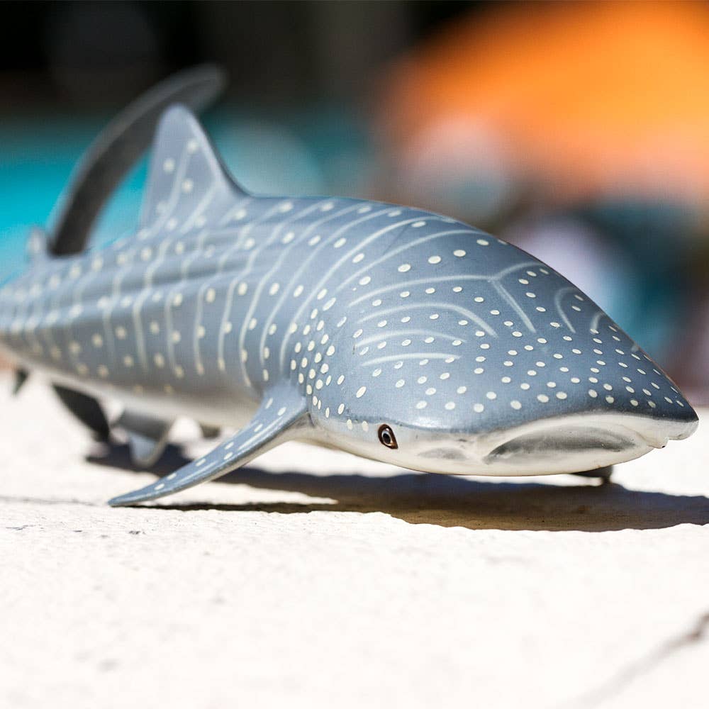 Whale Shark - 422129