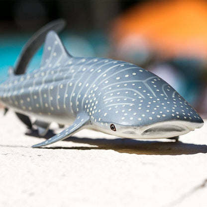 Whale Shark - 422129