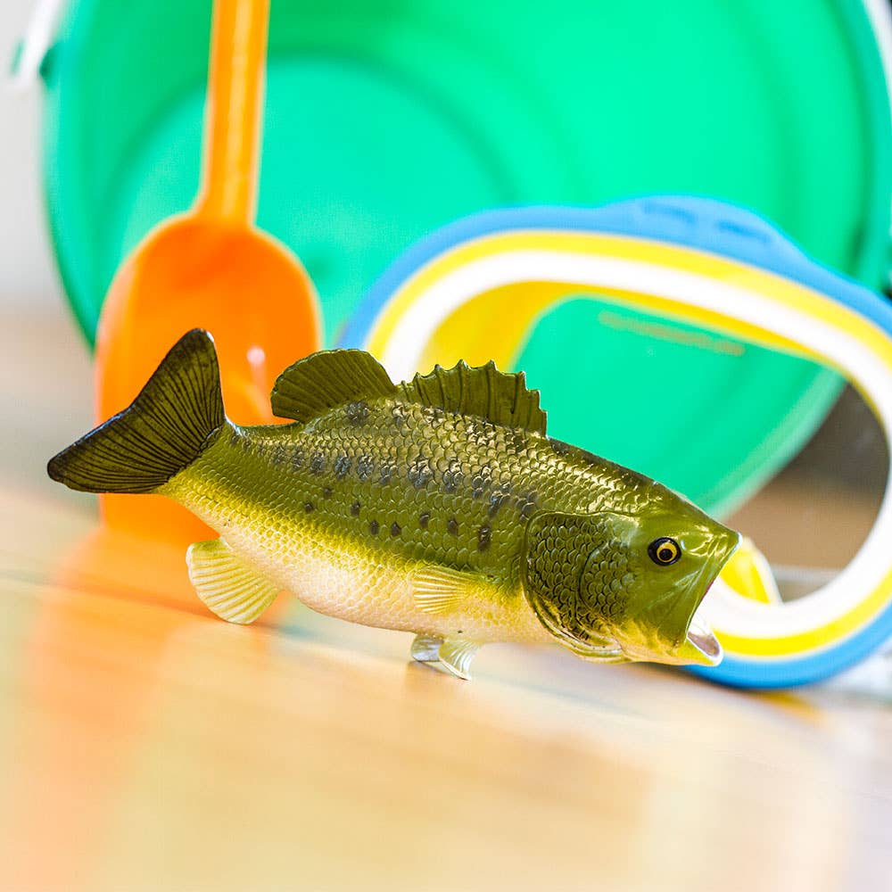 Largemouth Bass - 265629