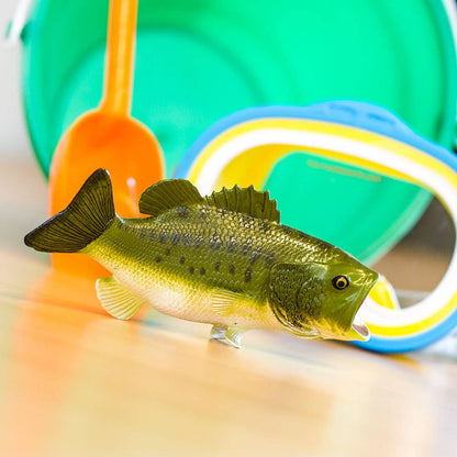 Largemouth Bass - 265629