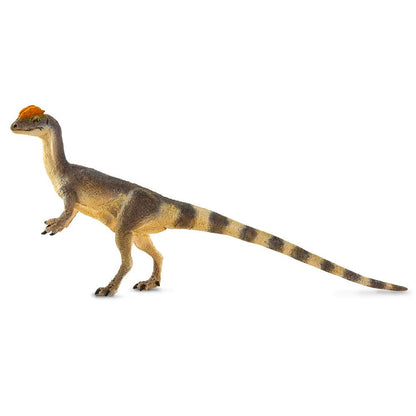 Dilophosaurus - 100508