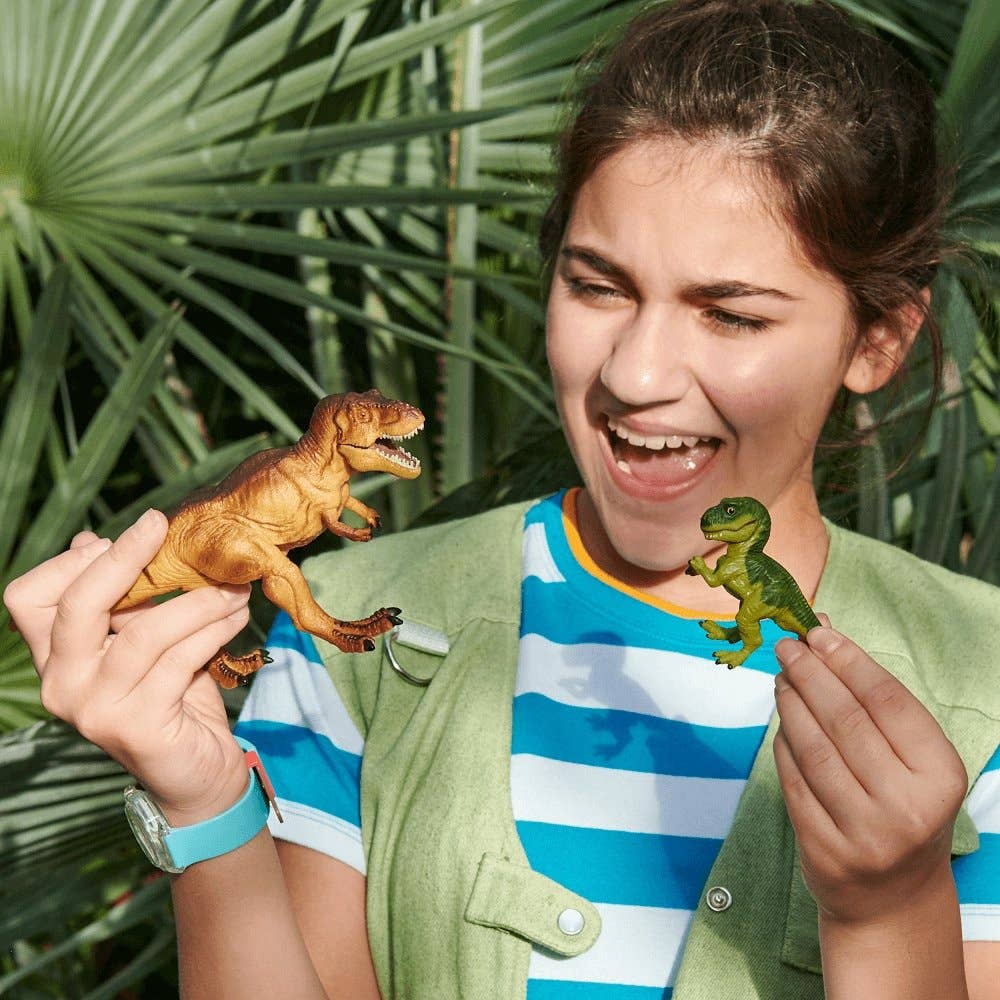 Tyrannosaurus Rex 100934