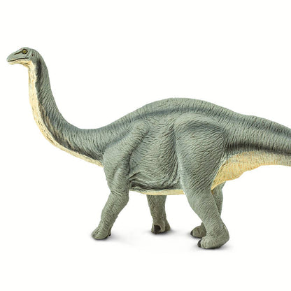 Apatosaurus - 300429