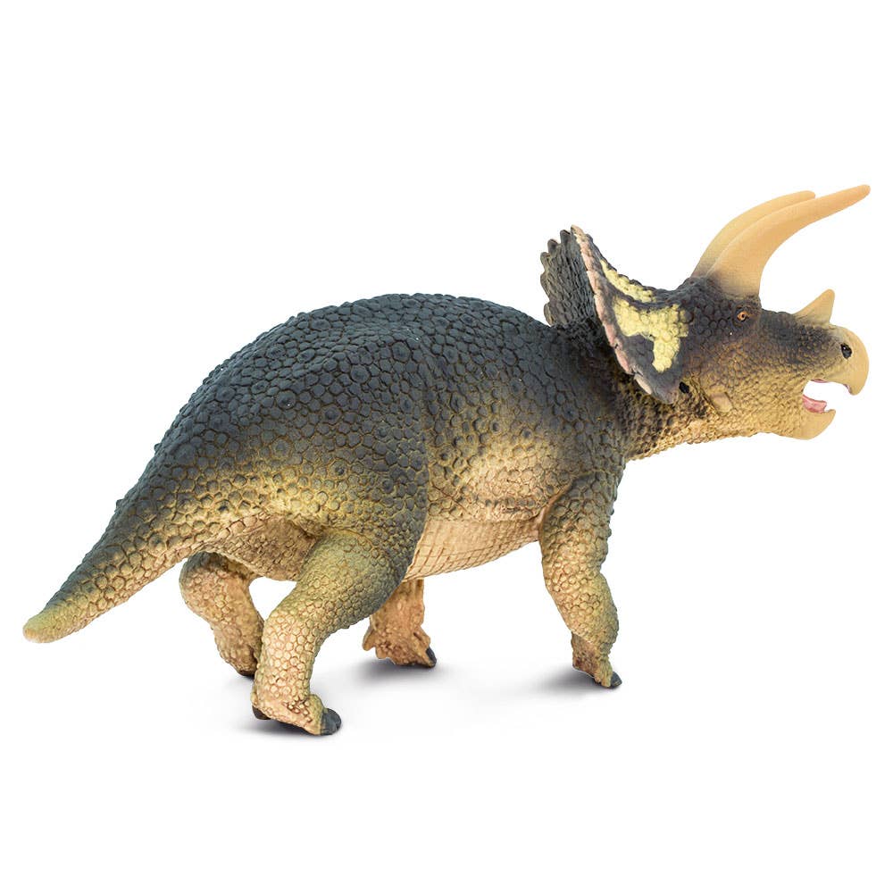 Triceratops - 100153