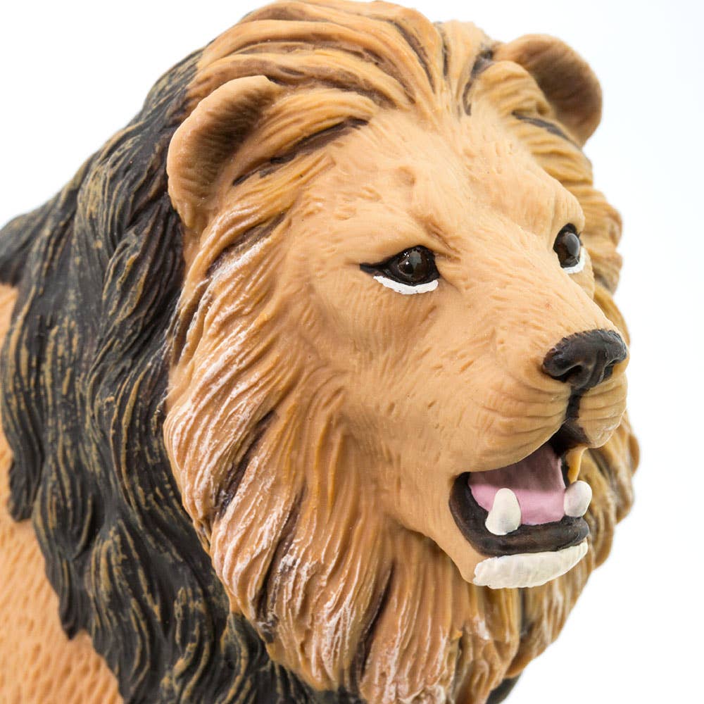 Lion - 290229