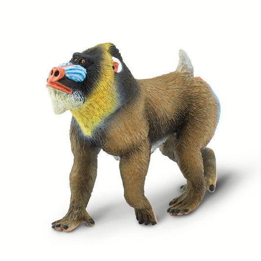 Mandrill - 100273