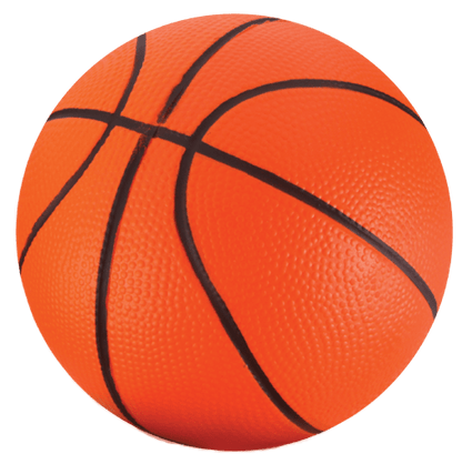 NSG Over The Door Combo: Speed Bag & Basket ball