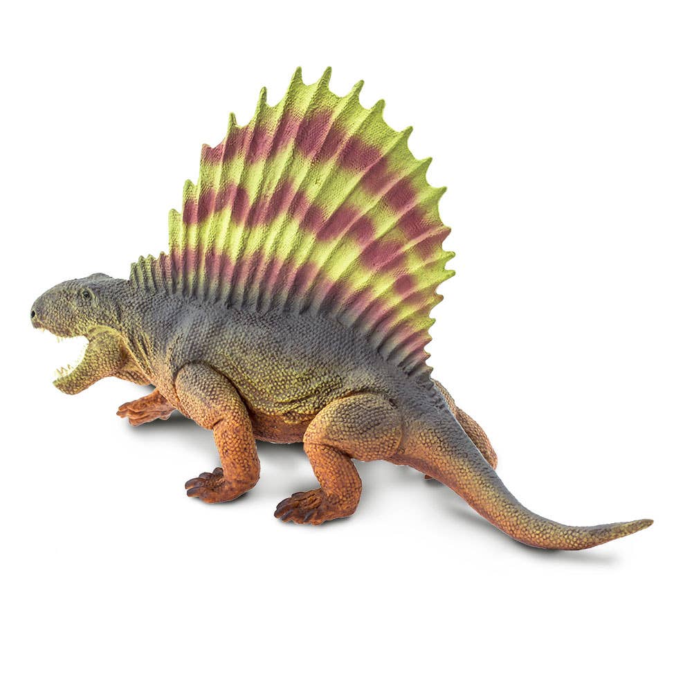 Dimetrodon - 305729