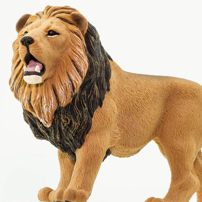 Lion - 290229