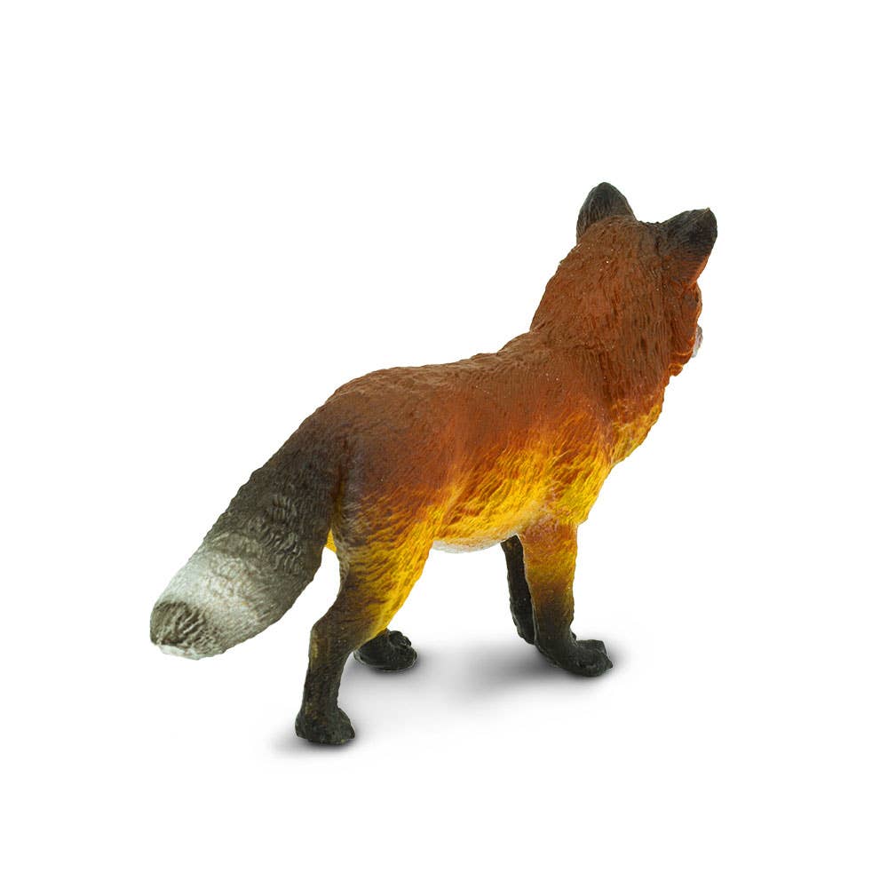 Fox - 273729