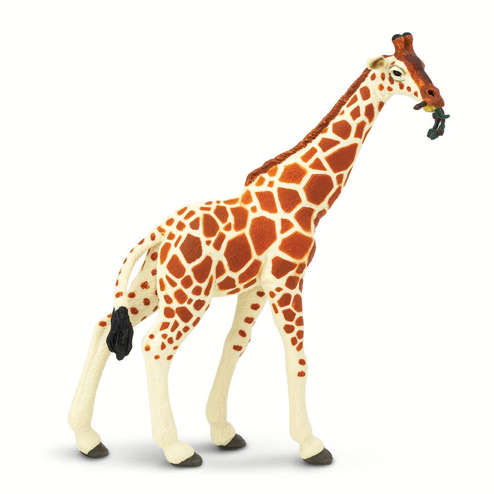 Reticulated Giraffe - 268429