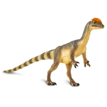 Dilophosaurus - 100508