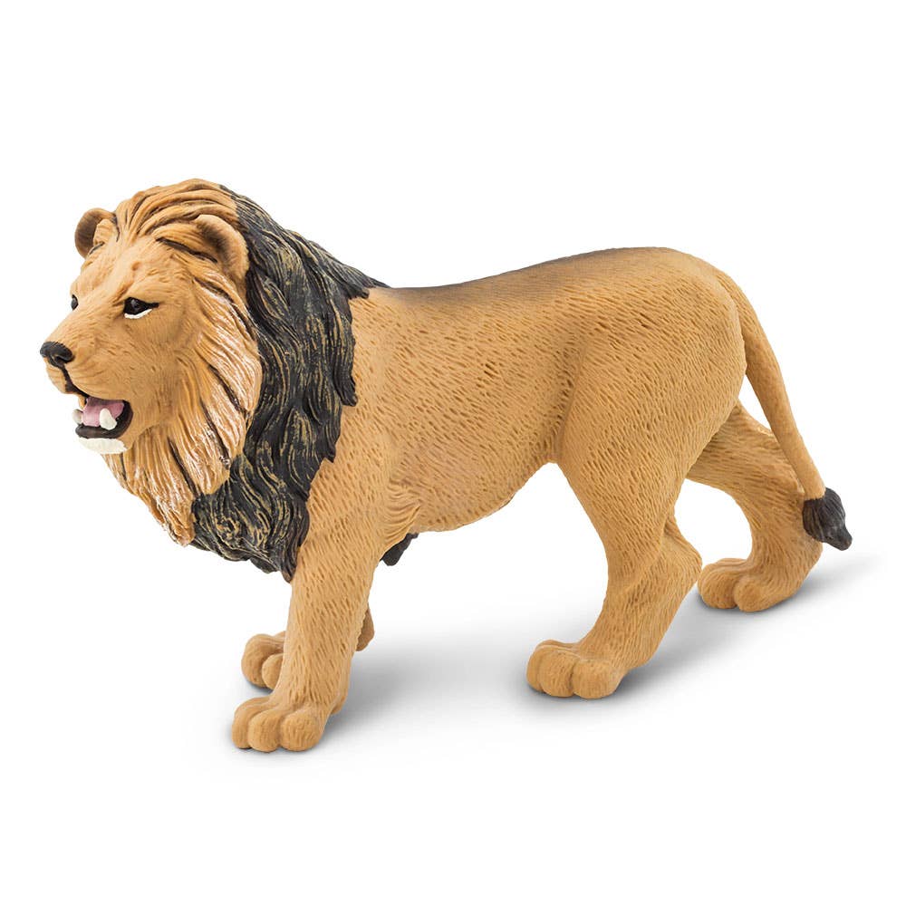 Lion - 290229