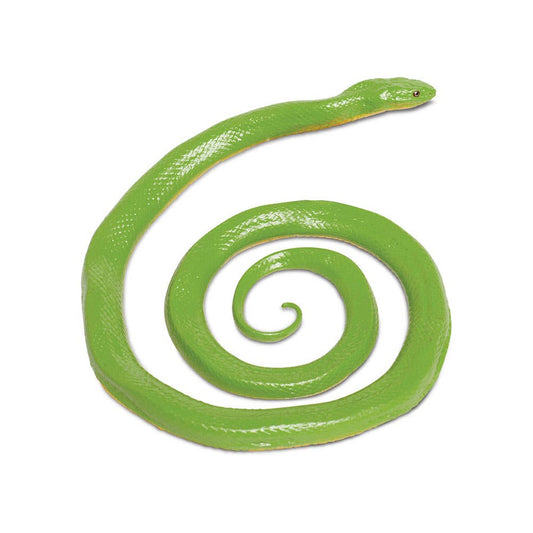 Rough Green Snake - 257729