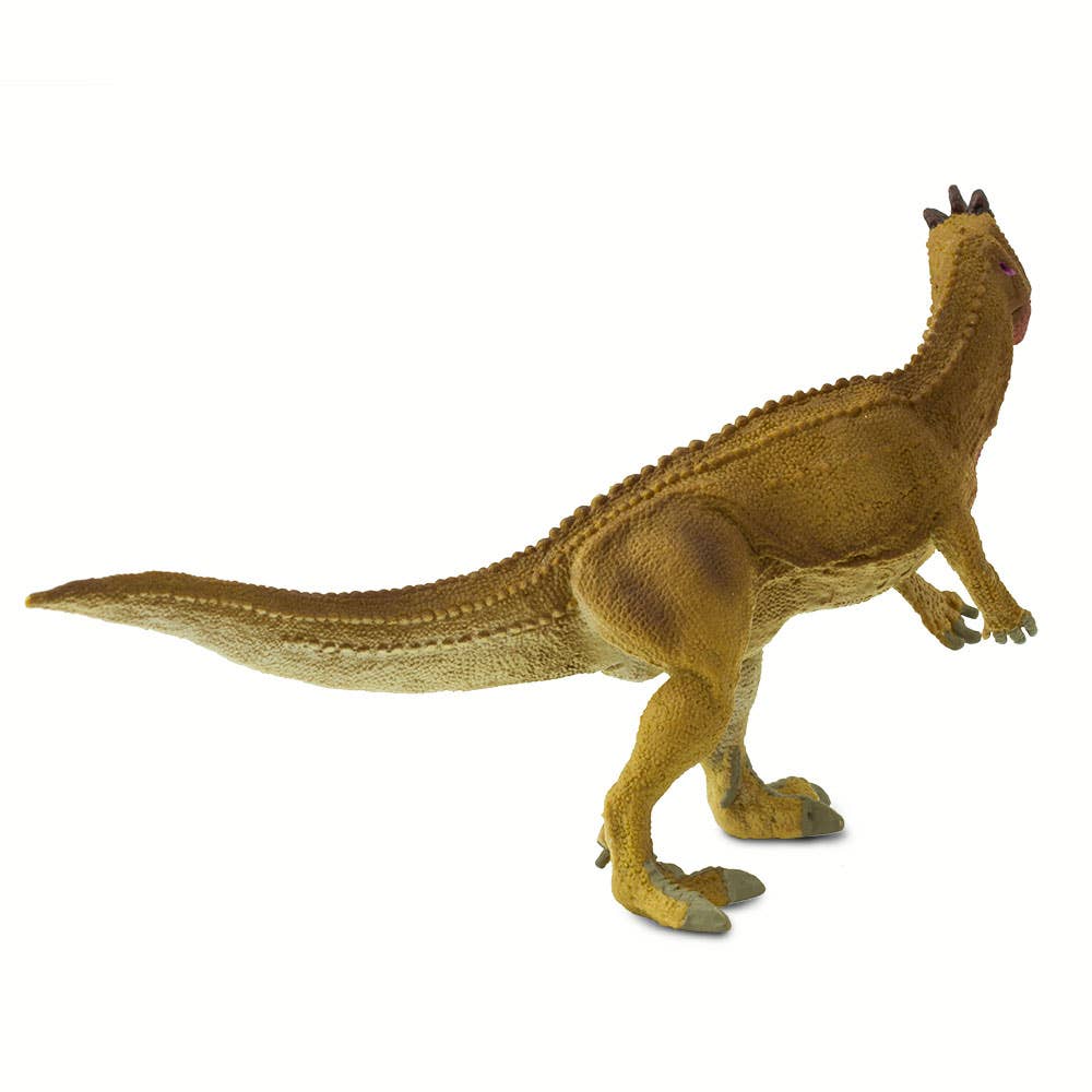 Ceratosaurus - 303029