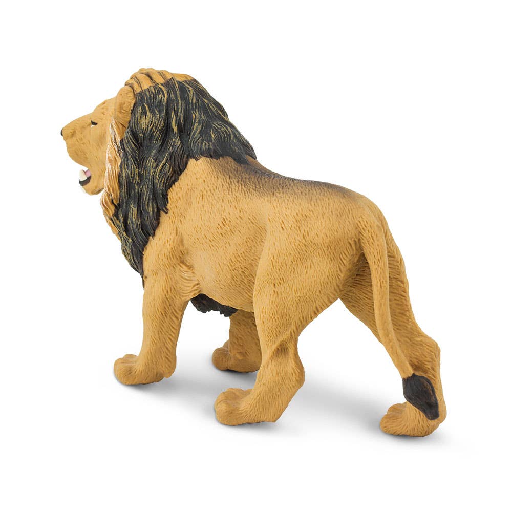 Lion - 290229