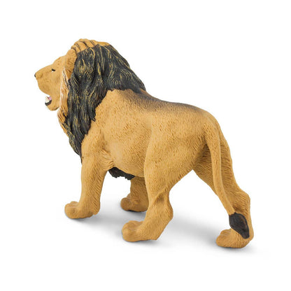 Lion - 290229