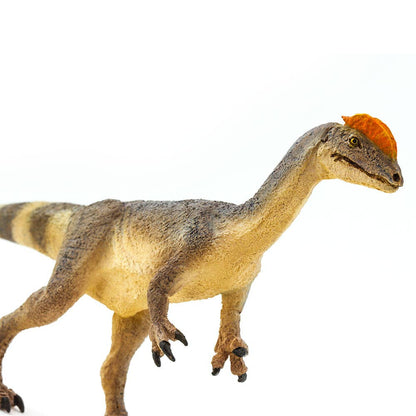 Dilophosaurus - 100508