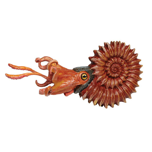 Ammonite Figurine Toy for Kids