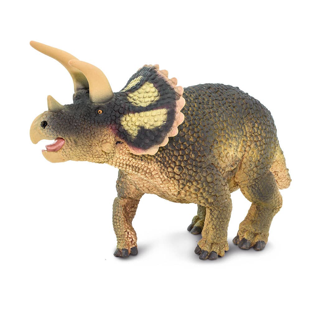 Triceratops - 100153
