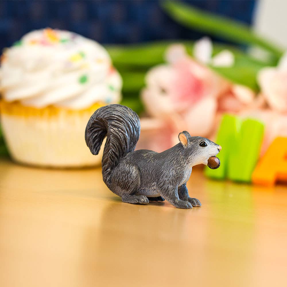 Gray Squirrel - 296129