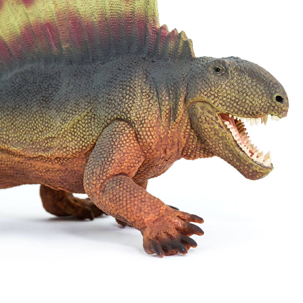 Dimetrodon - 305729