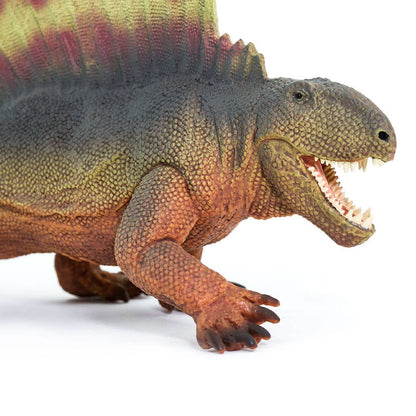 Dimetrodon - 305729
