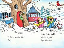 Little Critter: A Snow Day for Dog : Mercer Mayer