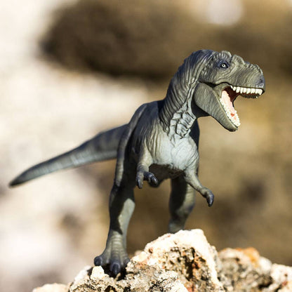 Tyrannosaurus Rex - 100423