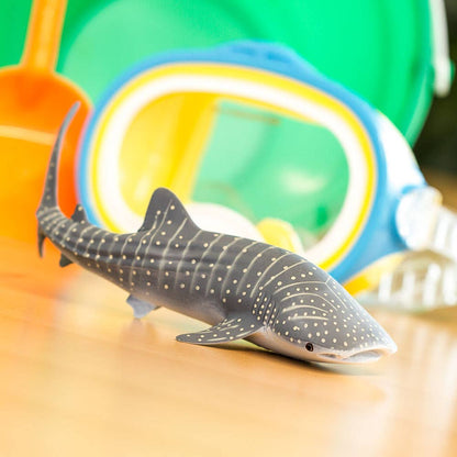 Whale Shark - 422129