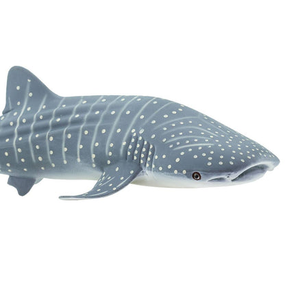 Whale Shark - 422129