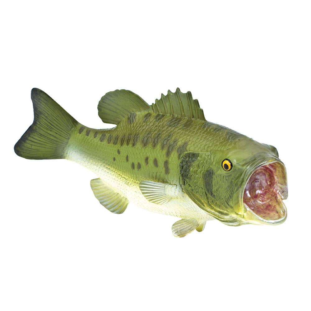 Largemouth Bass - 265629