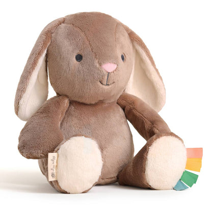 Sweetie Snuggles™ Plush: Bear