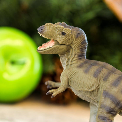 Tyrannosaurus Rex - 100423