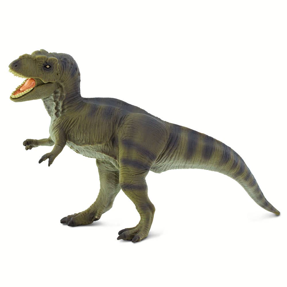 Tyrannosaurus Rex - 100423