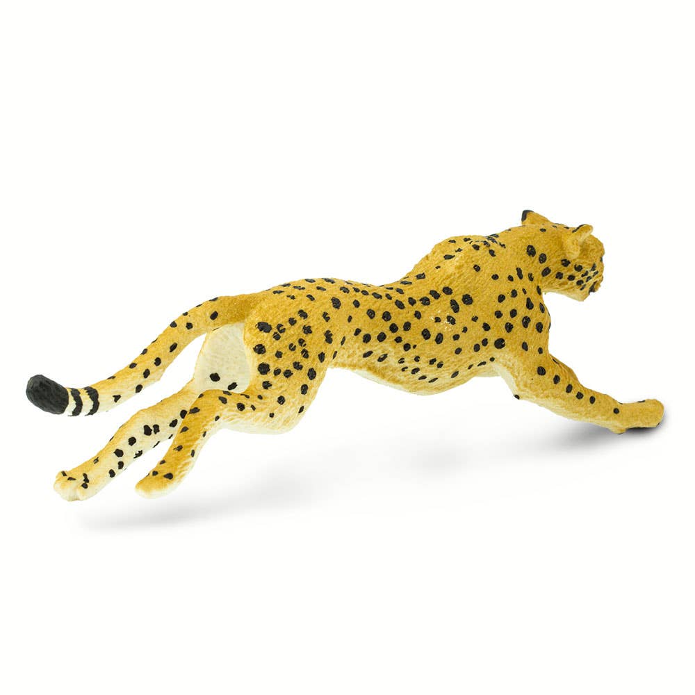 Cheetah 290429