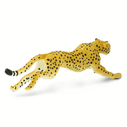 Cheetah 290429
