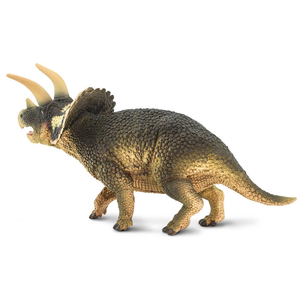 Triceratops - 100153