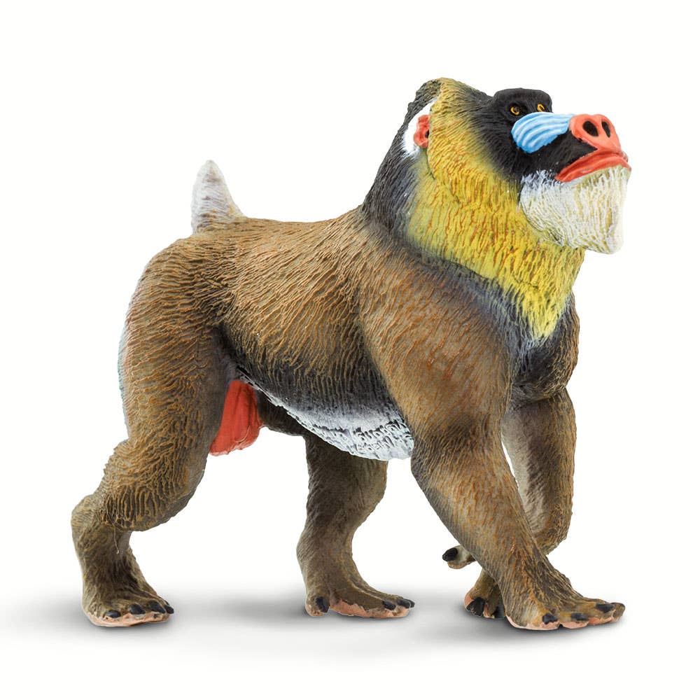 Mandrill - 100273