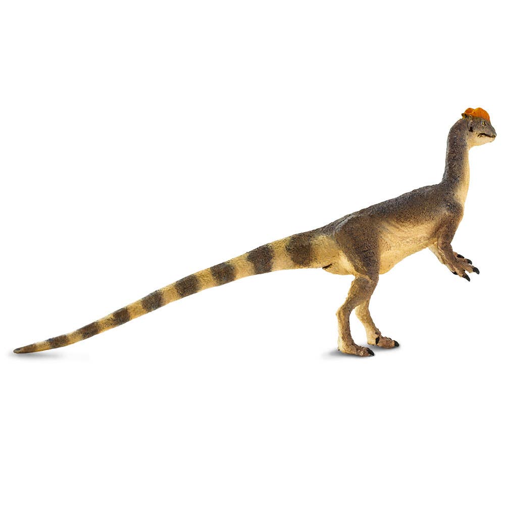 Dilophosaurus - 100508