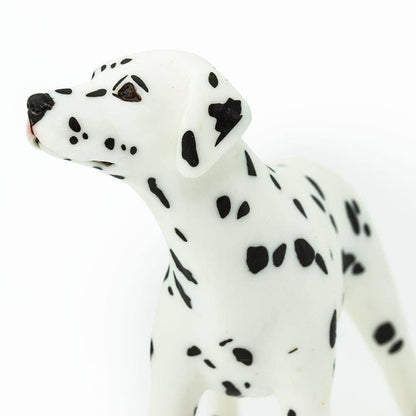 Dalmatian - 239529