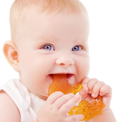 All Stage Teether Fish