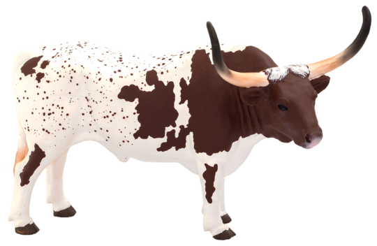 Texas Longhorn Bull