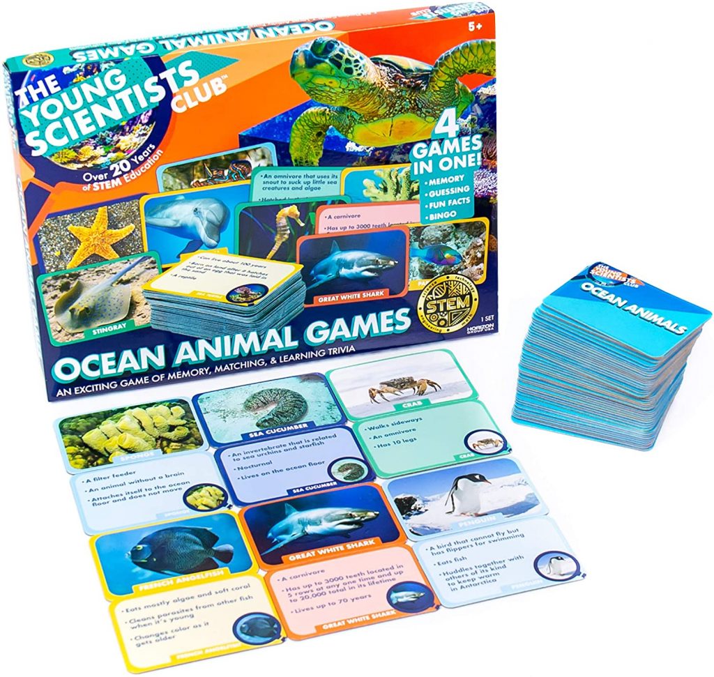 Ocean Animal Game